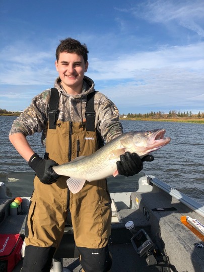 Walleye