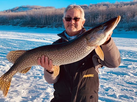 Northern Pike