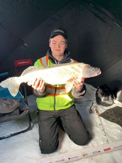Walleye