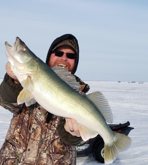 Walleye