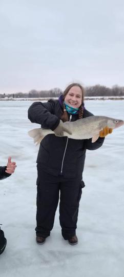 Walleye