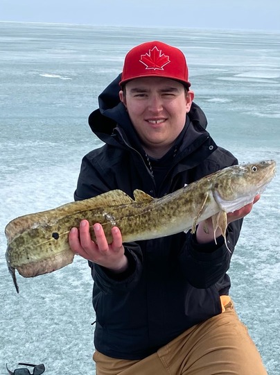Burbot