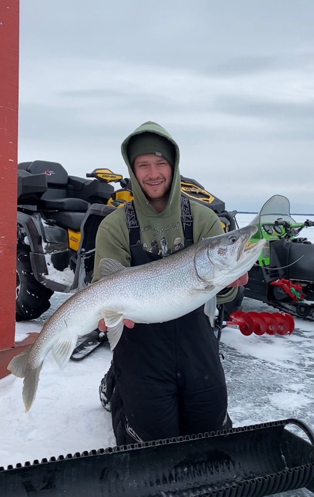 Lake Trout