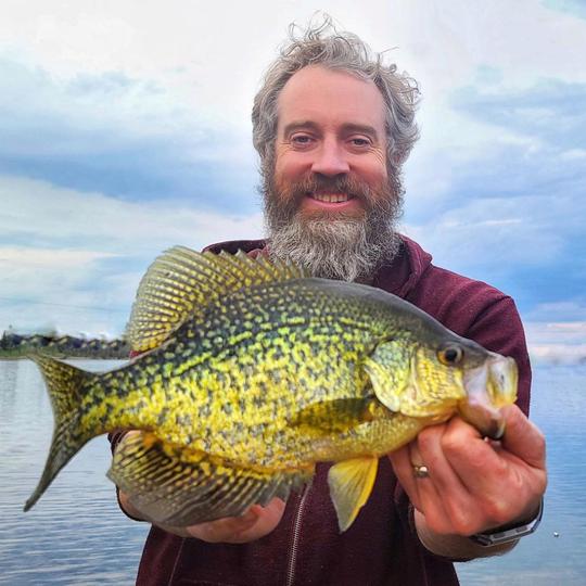 Black Crappie