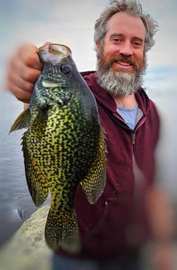 Black Crappie
