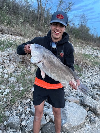 Freshwater Drum