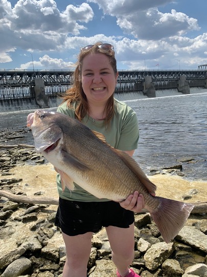 Freshwater Drum