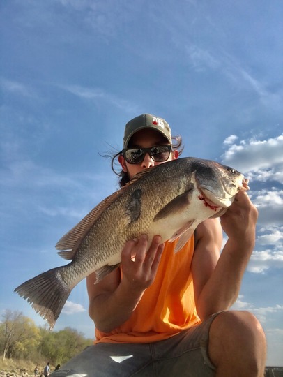 Freshwater Drum