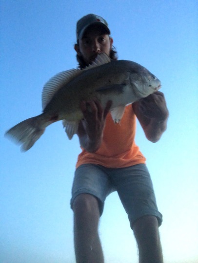 Freshwater Drum