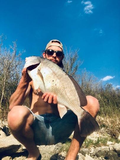 Freshwater Drum