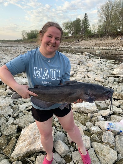 Channel Catfish