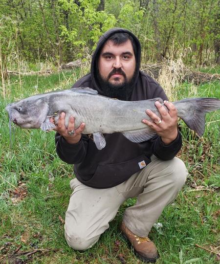 Channel Catfish
