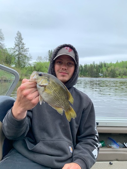 Rock Bass