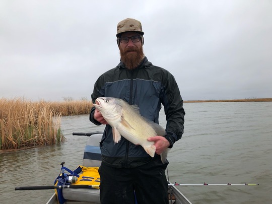 Freshwater Drum