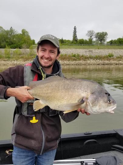 Freshwater Drum