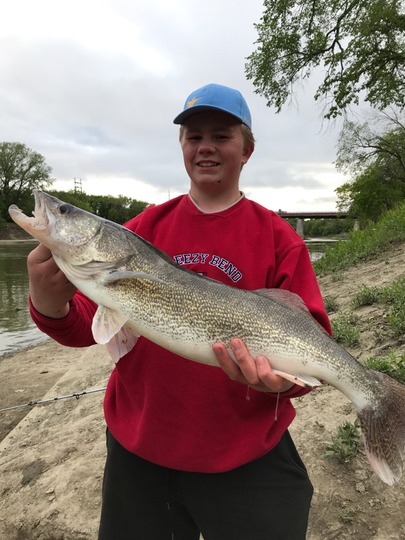 Walleye