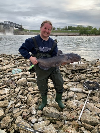 Channel Catfish