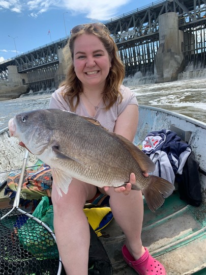 Freshwater Drum