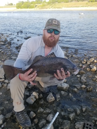 Freshwater Drum
