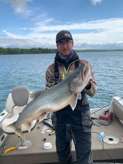 Lake Trout