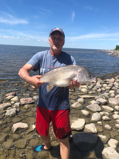 Freshwater Drum
