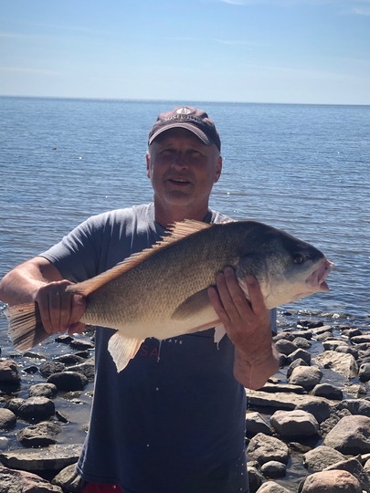 Freshwater Drum