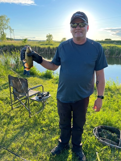Bullhead
