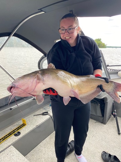 Channel Catfish
