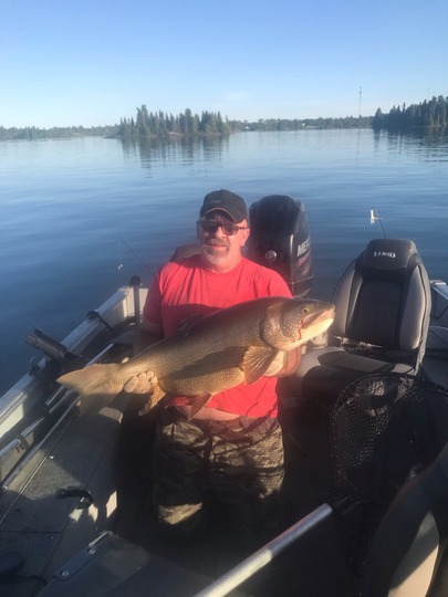 Lake Trout