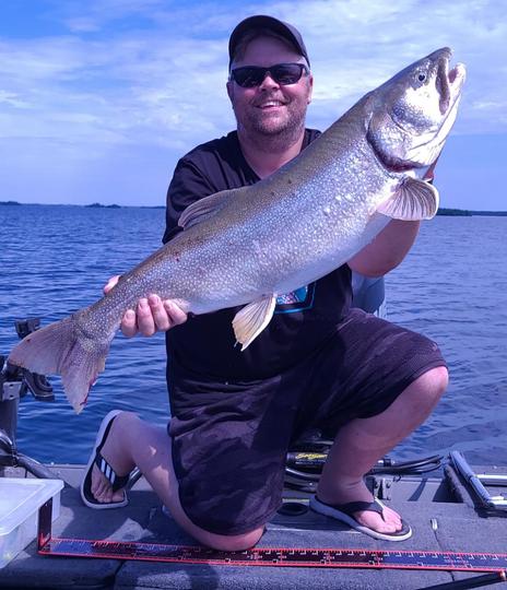 Lake Trout