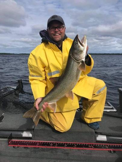 Lake Trout