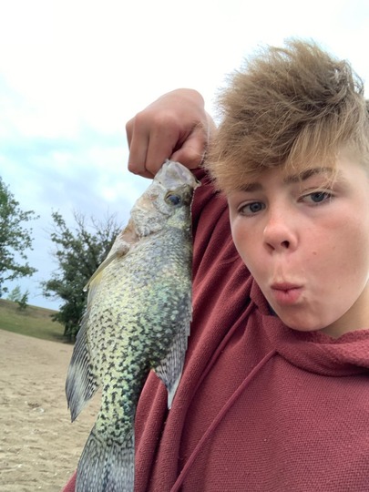 Black Crappie