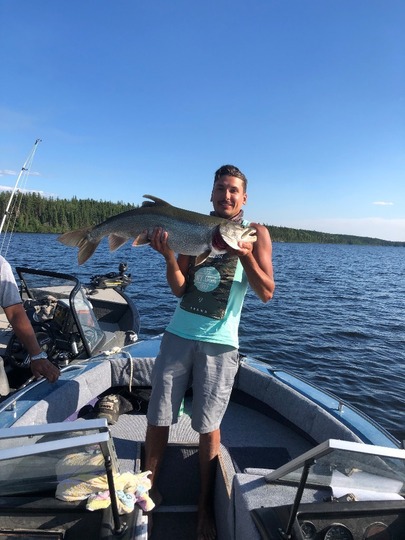 Lake Trout