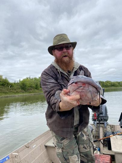 Channel Catfish