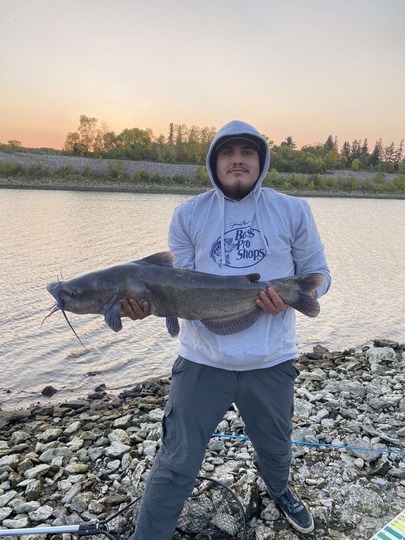 Channel Catfish