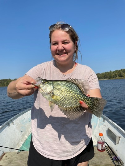 Black Crappie