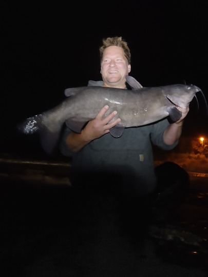 Channel Catfish