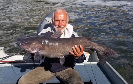 Channel Catfish