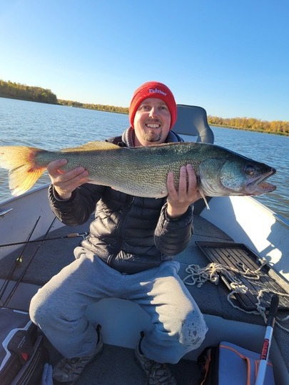 Walleye