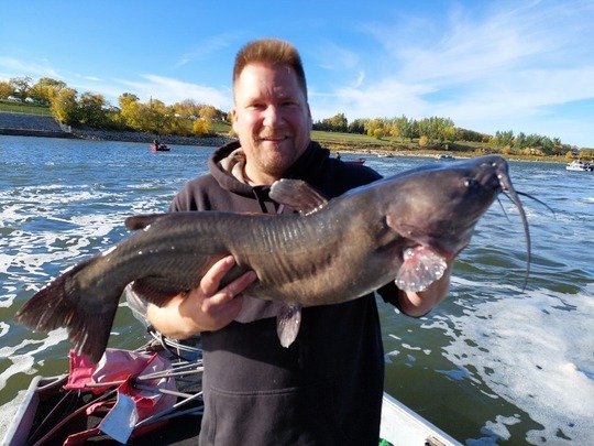 Channel Catfish