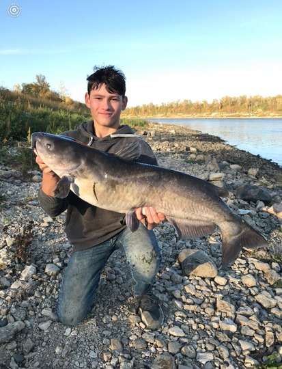 Channel Catfish