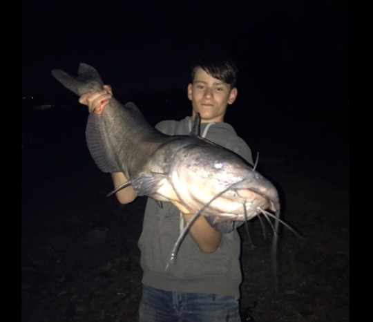 Channel Catfish