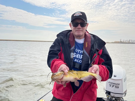 Bullhead