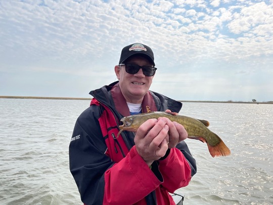 Bullhead