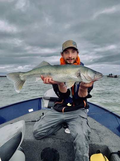 Walleye
