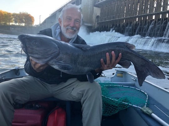 Channel Catfish
