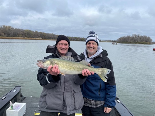 Walleye