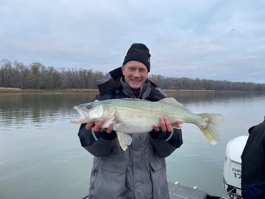 Walleye