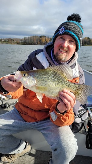 Black Crappie