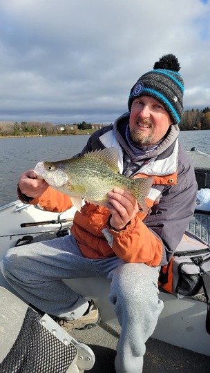 Black Crappie